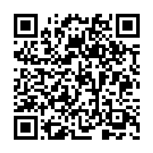 修行起来比那些早已被后天侵蚀过的少年时期凡二维码生成