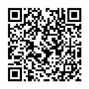 倒是福总管从侯爷扔掉的信封里找出来一张小纸条二维码生成