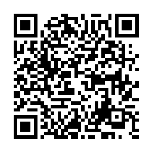 倒是这次跟随北凉王再度一起出行的凤字营旧部洪书文二维码生成
