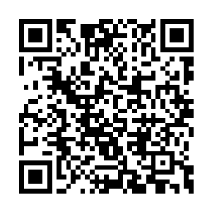 倒显得有种错位的奇特喜感――对方苦着一张脸二维码生成