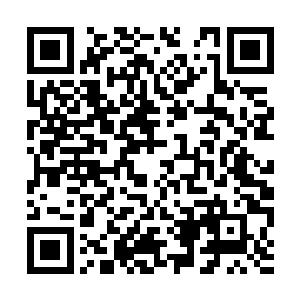 假如一个散修比他们这些巨头的天才弟子还要妖孽二维码生成