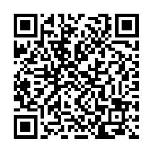 偏偏它们的数量还在以一种极为可怕的速度增加着二维码生成