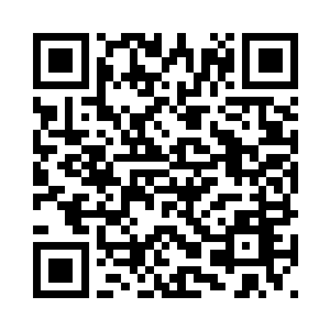 做了坏事的小毛啾弱弱的啾了一声二维码生成