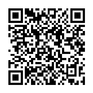 健硕了一些的……但同时它带给秦方的危险也是最大的二维码生成