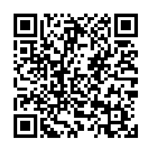 偶尔几个笑场的亮点让我提醒自己坐在荧幕前――别睡着阿二维码生成