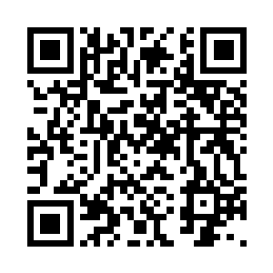 偶然能见到几只蝴蝶在空中飞舞嬉戏二维码生成