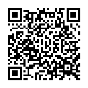 偷袭了它的洞府……偷走了它的灵草……杀死了它的妻子……二维码生成