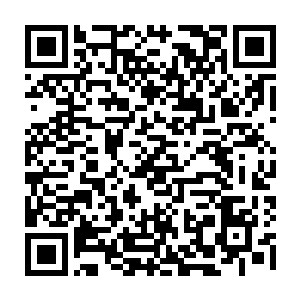 傻傻的看着这些往日里让他们极为害怕的人像一滩烂泥一样的被人家狂殴二维码生成
