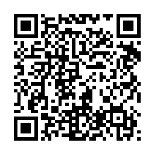 像刚才这个门派龙傲天到最后根本都没有事情万雷大阵二维码生成