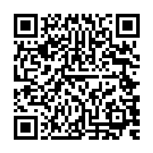 允许你可以先把这个五星任务奖励的三十亿贡献点提前支取使用二维码生成