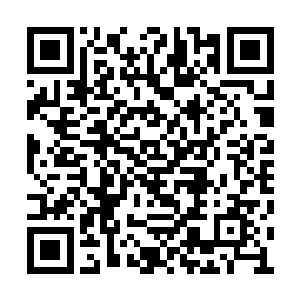 元公那种卧底是不会轻易惹来任何怀疑而暴露的二维码生成