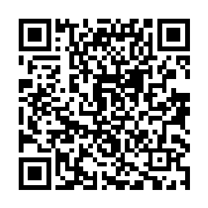 元气包含各种元素之力和一部分没有被激活的母物质二维码生成