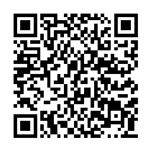 元脉和青脉的几名太上长老同时退后了一段距离二维码生成