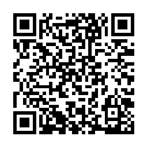 兄弟们请去书评区就老瑞下一本书方向投票发表意见二维码生成