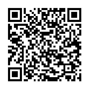 充斥在岁月阶梯上的岁月之力在这一刻陡然爆发出来二维码生成