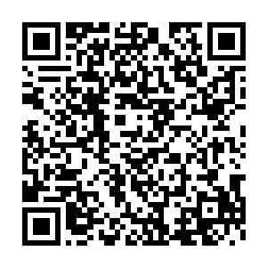 先前他突发奇想的将所学到的寻灵术在灵界这片土地上使用了一下二维码生成