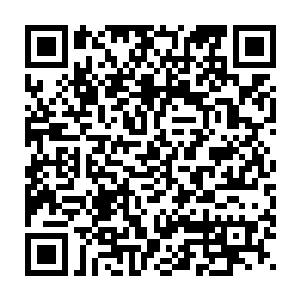 先前倒也旁敲侧击地跟楼近临询问了两句有关苏家小姐和宁毅的事情二维码生成