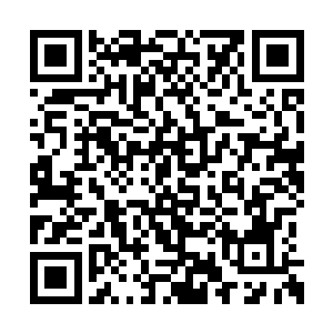 先前她恢复神智时就一直在揣摩逃离此处的办法二维码生成