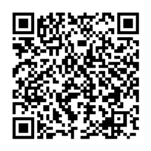 先前略有些僵滞的气氛似乎也被陆为民这一番略带揶揄调侃语气的话语所融动二维码生成