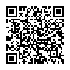 先前的几天丁羽这边一直都没有任何的休息时间二维码生成