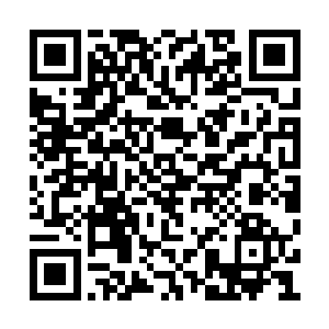 先前的那一千万已经把所有的人情都给还清楚了二维码生成