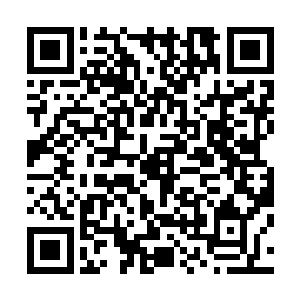 先前被杨开问过话的壮汉原本满怀期待地盯着那出现的门户二维码生成