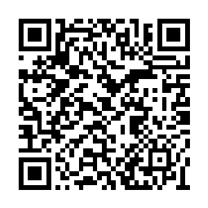 先前这小子也不知道把这长刀藏在识海什么地方二维码生成