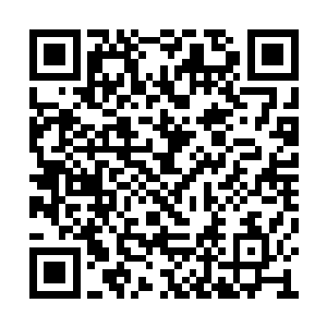 先前送他们回来的车夫已经预付了一个月的房费二维码生成
