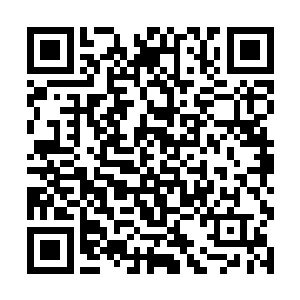 先前那个攻击生命之树的鬼怪也曾经说他是来自九幽二维码生成