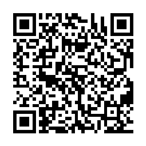 先是和四只仙灵了解了一下金灵本体可能的模样和变化的模样二维码生成