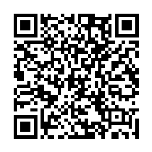 光华的地面骨幽可以清晰的看到自己那张紧张的脸二维码生成