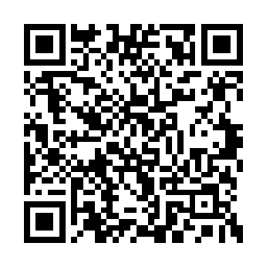光昭帝望着楚子灿离去的身影微微地叹了一口气二维码生成
