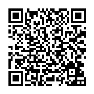 光是这具肉身的样子就不知道经过了多少年的演化才有的二维码生成