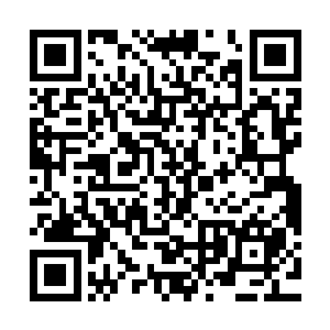 免费小说他们不会愿意看到一些瑕疵来影响自己经营的这个牌子二维码生成
