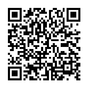 党玉还是以公司的名义先买了一辆客货两用的皮卡车二维码生成