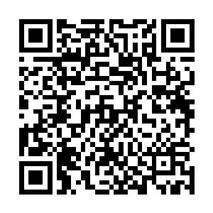 全世界都将知道华纳兄弟发行的这个电影有多么的不堪二维码生成