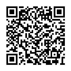 全力催动下爆发的灵潮甚至可以推平一个小山头二维码生成