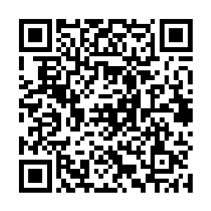 全场目光的转移让她们三人很快看到那为首之人的样子二维码生成