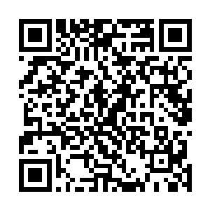 全然没想到平日里对尤为爱护的田楷竟会向自己挥刀相向二维码生成