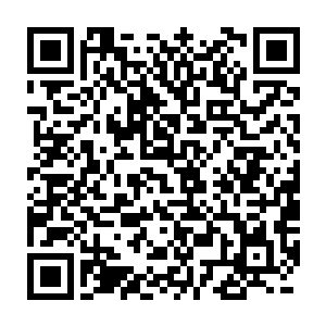 全神贯注之下的林铭可以完美的推演出当初世界崩毁时发生的一幕幕二维码生成
