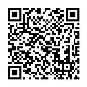 八级妖狂的六大主脉立刻就遭到了雷天的重点打击二维码生成