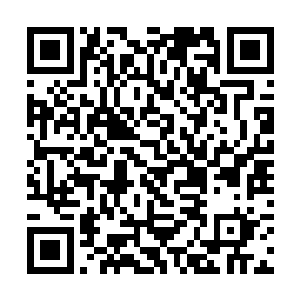 八辆加长林肯排列有序地出现在了观众们的视线之中二维码生成