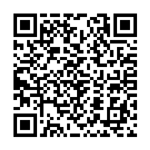 公子的是意思是想要去拜访那个叫云起舞的女人吗二维码生成