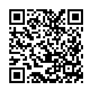 公爵夫人和两个孩子今天才刚刚搬进王宫吗二维码生成