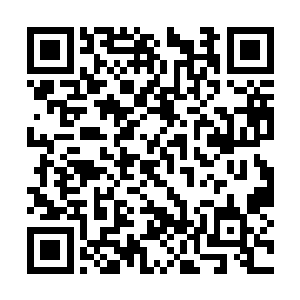 六七年前还只是大楚西北一个不是十分起眼的城池二维码生成