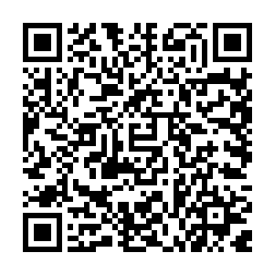 六大家族的主力怕是已经进入了地宫……六大家族似乎对这一处地宫有所了解二维码生成