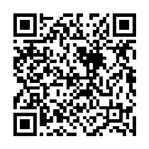 六长老发出的那两道灵光已经到了雷天身前五米的地方二维码生成