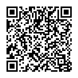 兰柳两家代#理小火苗产品之后家族的年盈利提升了多少个百分点二维码生成