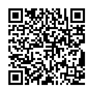 关于她和乔什即将同居的新闻也登上了各大报刊网站的八卦版二维码生成
