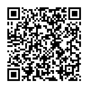 关于当年沈凡大战罗菁菁和血眼的事迹他已经通过留影石观摩了很多遍二维码生成